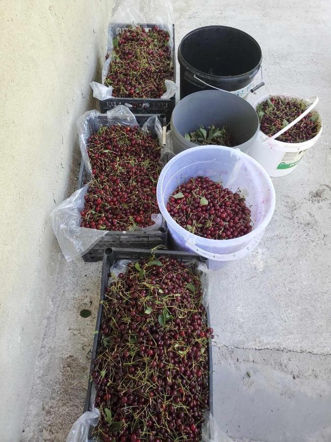 Nakalakevi Mesxta酒店 外观 照片